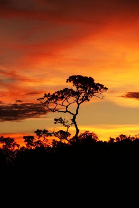 Suítes Conforto no Paraíso Alto Paraíso de Goiás Buitenkant foto